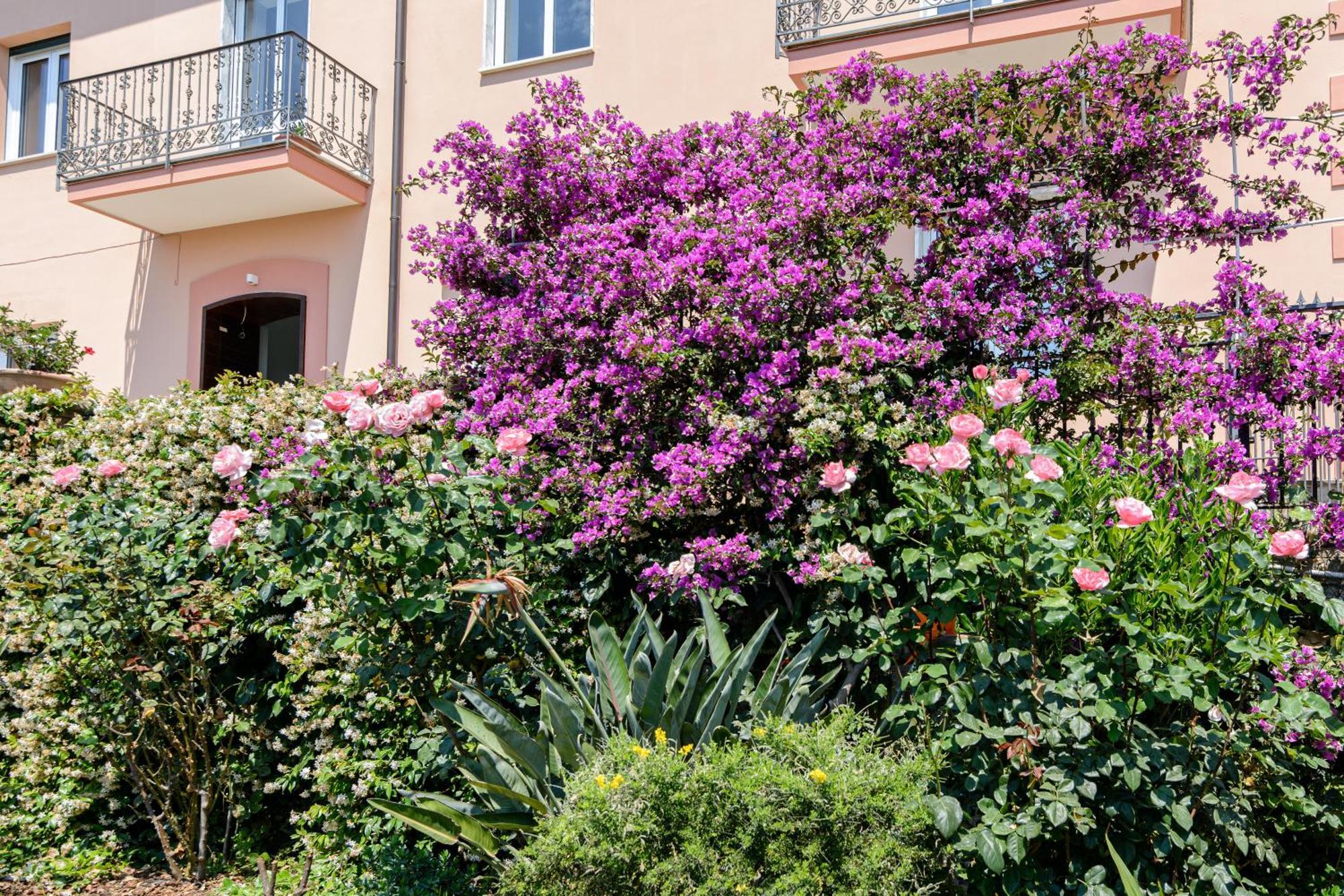 Willa Casa Vittoria Agropoli Zewnętrze zdjęcie